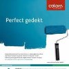 colora.jpg